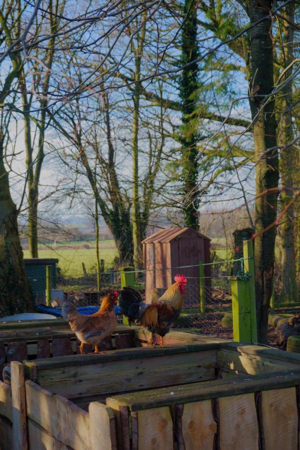 Meadow Barn Villa Hereford Exteriör bild